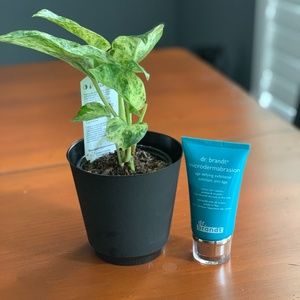 Dr Brandt Microdermabrasion Brand new!